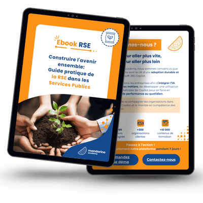 Mockup ebook RSE service public Mockup ebook RSE service public