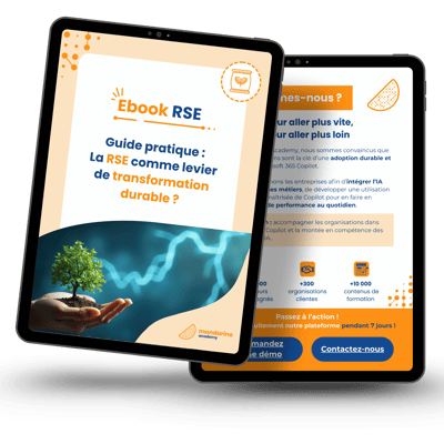 Mockup ebook RSE Mockup ebook RSE
