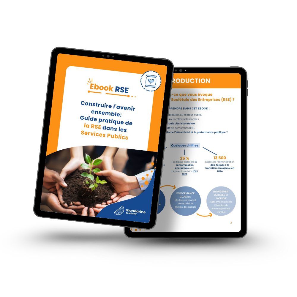 Ebook RSE Services Publics Mockup