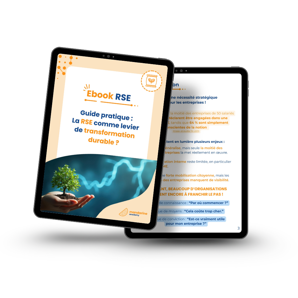 Ebook RSE entreprises mockup